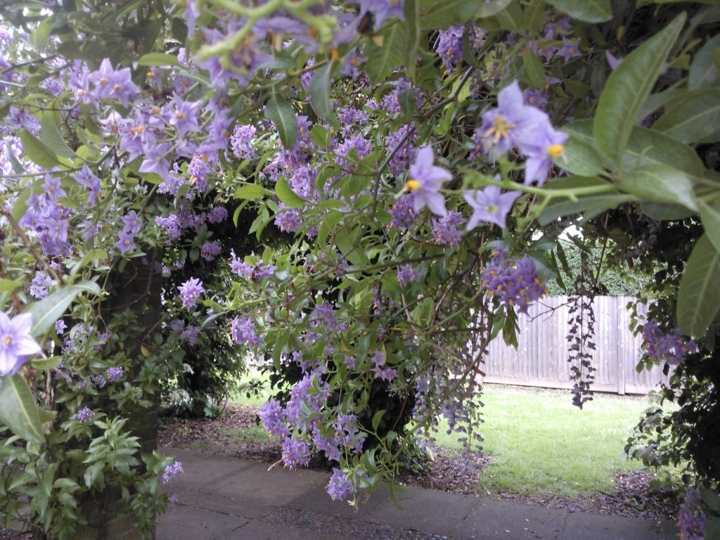 The Real World Does Not Take My Drama Obsession Into&nbsp;Consideration!