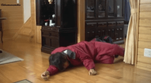 i'm amazed he got home